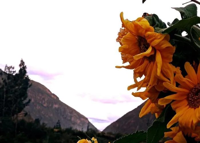El Sol De Oro